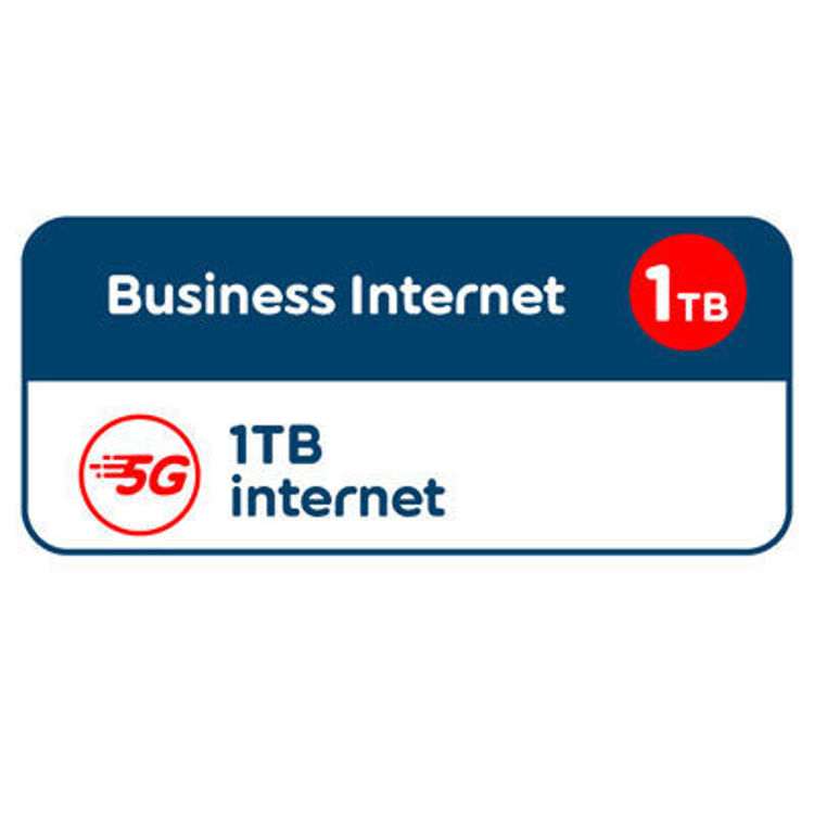 صورة Business Internet - 1 TB