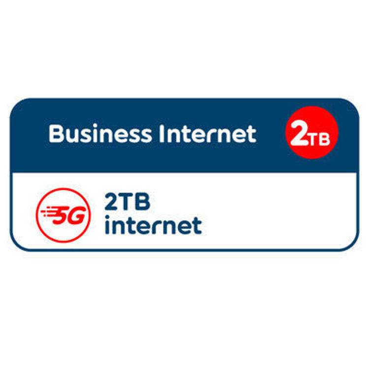 صورة Business Internet - 2 TB